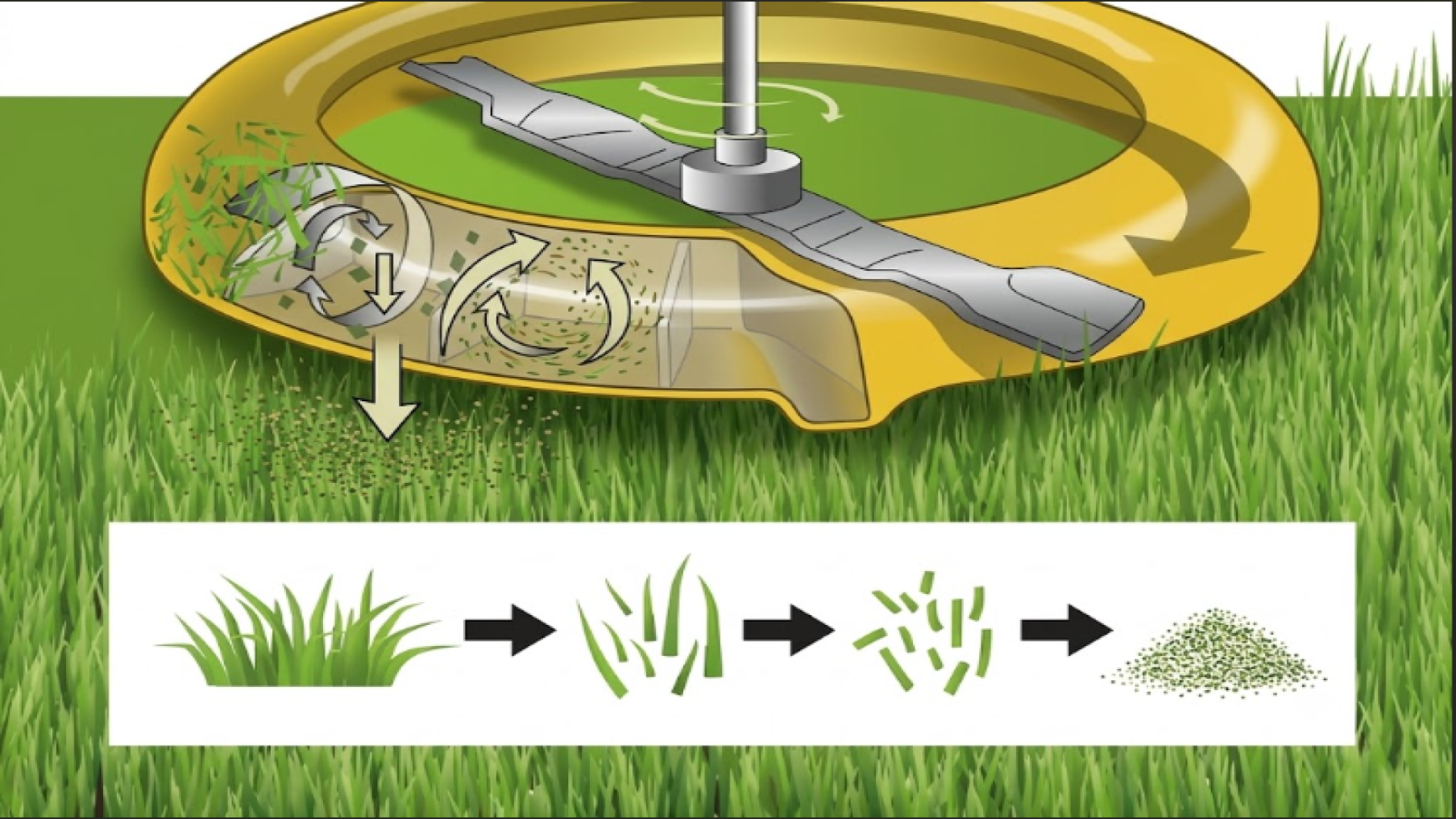 En illustration som visar hur en mulching-gräsklippare fungerar genom att slunga runt och finfördela gräset inuti klippkåpan innan det pressas ner i gräsmattans botten som naturlig gödning.
