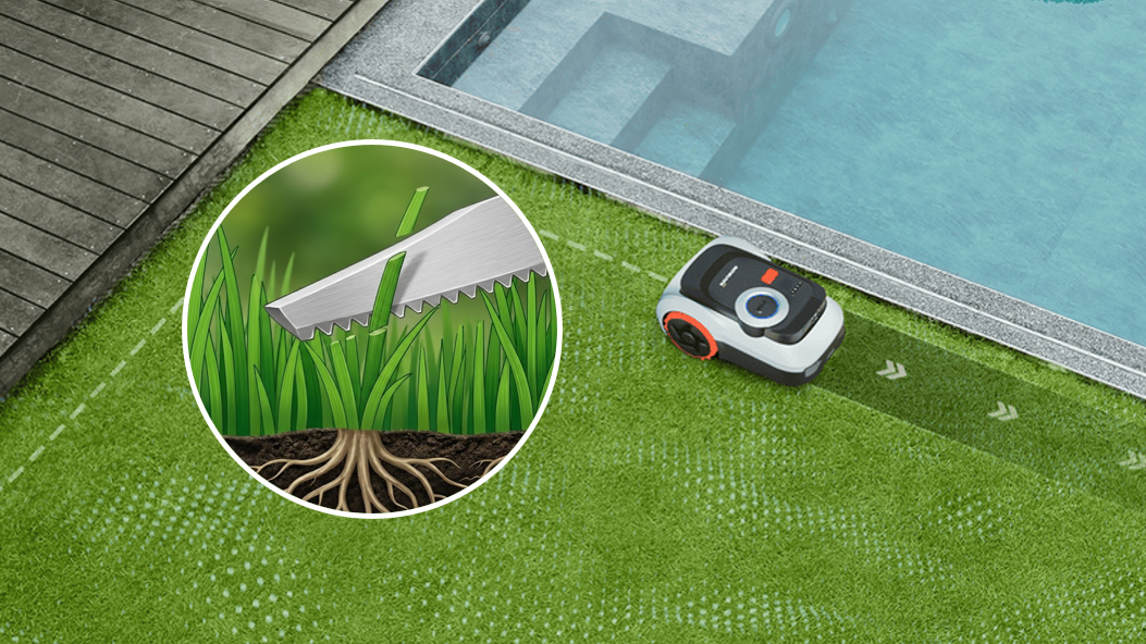 En illustration av en robotgräsklippare som arbetar intill en pool, med en inzoomad närbild som visar hur maskinens knivar skonsamt skär av toppen på grässtråna enligt tredjedelsregeln.