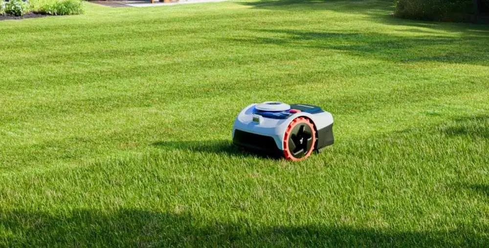 En vit robotgräsklippare som navigerar över en stor, solig och välklippt gräsmatta för att upprätthålla perfekt gräshöjd.
