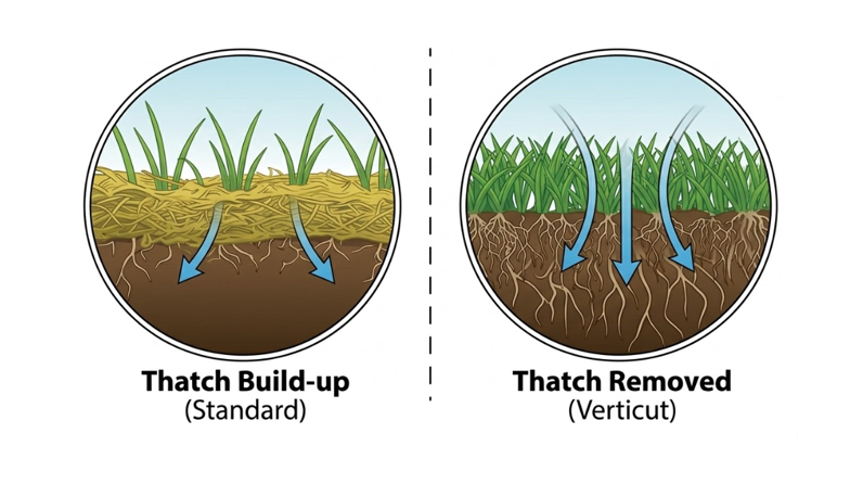 Illustration som visar skillnaden mellan en gräsmatta med ett tjockt, kvävande filtskikt och en vertikalskuren gräsmatta där syre och vatten fritt kan nå ner till gräsets rötter.