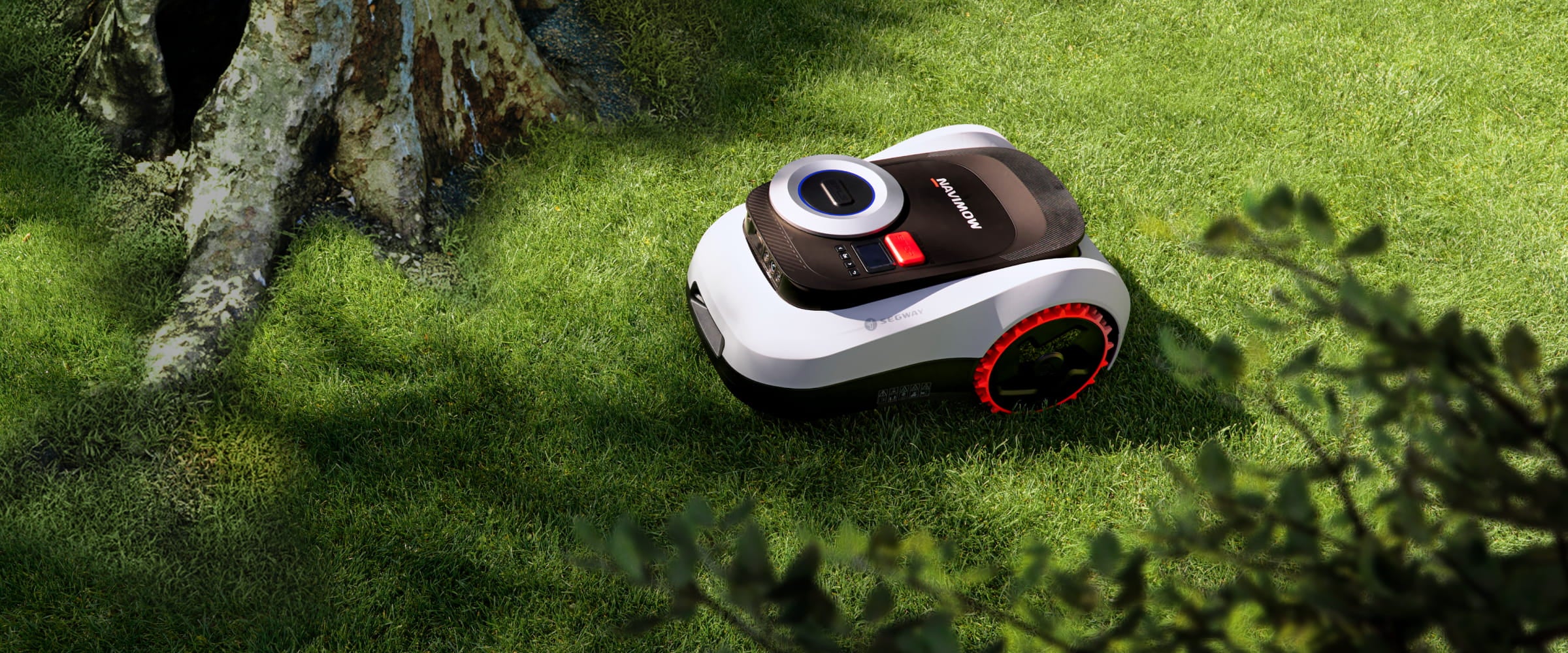 Segway Navimow robotgräsklippare klipper gräset i en vacker grön trädgård.